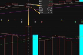 包含以太坊遭遇大幅下滑超223%，投资者恐慌性抛售的词条-九游登录入口