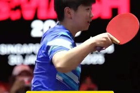 乒乓球附加赛上演强强对话，云贵霹雳队绝杀塞北天虎队，多点开花奏效；边后卫成为亮点的简单介绍-九游娱乐APP