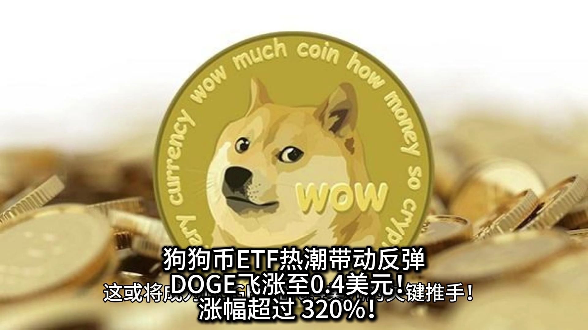 关于比特币创下年内新高，上扬幅高达狗狗币%，还能追吗？的信息